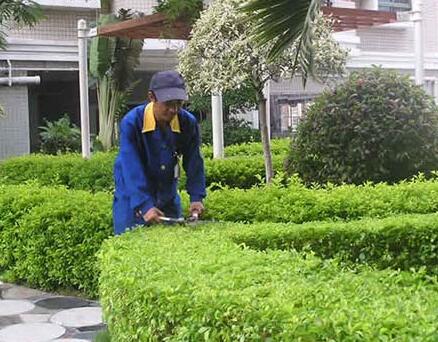 如何對(duì)十堰恐龍自行車(chē)綠道綠化工程進(jìn)行養(yǎng)護(hù)管理？