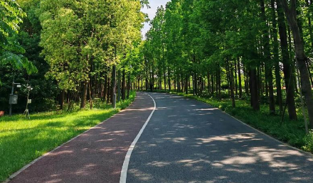 自行車(chē)綠道施工需要注意些什么？